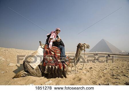 Stock Photo - A Young Man In The Desert On A Camel With The Pyramid In The Background; Cairo, Egypt, Africa. Fotosearch