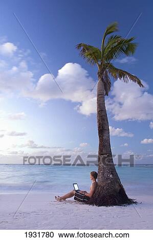 A young man sits against a lone palm tree on a white sand beach looking out at the ocean; Barbados View Large Photo Image Stock Image - A young man sits against a lone palm tree on a white sand beach looking out at the ocean; Barbados. Fotosearch