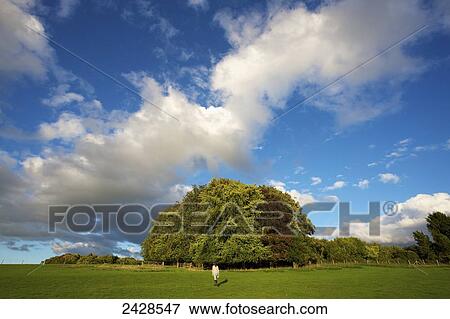 A young woman walking across the countryside near Hinton Apner; Hampshire, England View Large Photo Image Stock Photo - A young woman walking across the countryside near Hinton Apner; Hampshire, England. Fotosearch