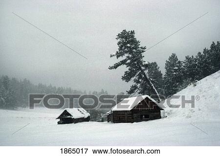 Stock Photo - Abandoned Homestead In Snow Storm. Fotosearch
