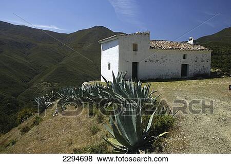 Abandoned house, Sierra de las Nieves Natural Park; Andalucia, Spain View Large Photo Image Stock Photo - Abandoned house, Sierra de las Nieves Natural Park; Andalucia, Spain. Fotosearch
