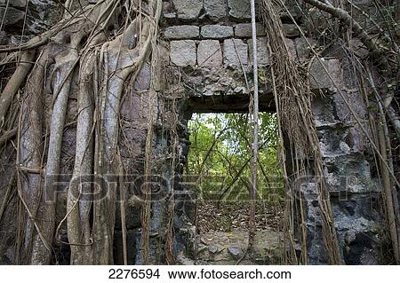 Abandoned sugar plantation; Nevis Island, West Indies View Large Photo Image Picture - Abandoned sugar plantation; Nevis Island, West Indies. Fotosearch