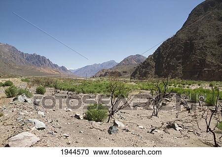 Stock Image - Abandoned tracks and station of the Ferrocarril Transandino (Transandine Railway) along the Mendoza River, Mendoza, Argentina. Fotosearch