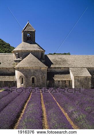 Stock Photograph - Abbaye De Senaque With Lavendar. Fotosearch