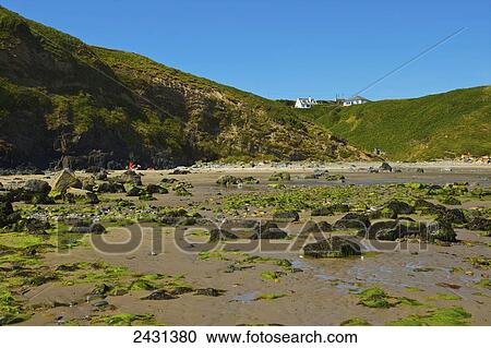 Aberdaron beach, Llyn Peninsula; North Wales View Large Photo Image Stock Image - Aberdaron beach, Llyn Peninsula; North Wales. Fotosearch