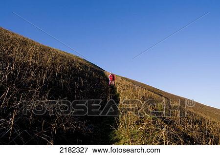 Abergwesyn Common, Powys, Wales Uk View Large Photo Image Stock Photo - Abergwesyn Common, Powys, Wales Uk. Fotosearch