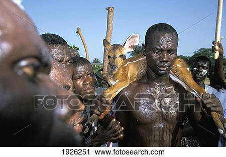 Stock Image - Aboakyer Deer-Hunting Festival; Winneba, Ghana. Fotosearch