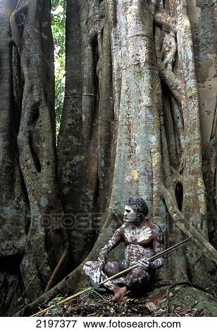 Aboriginal Dancer, Mossman Gorge. Queensland, Australia. View Large Photo Image Stock Photo - Aboriginal Dancer, Mossman Gorge. Queensland, Australia.. Fotosearch