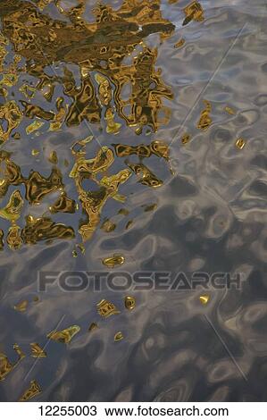 Stock Image - Abstract shapes created on the surface of the Griboedov Canal by the reflection of the Church of Our Savior on Spilled Blood; St. Petersburg, Russia. Fotosearch