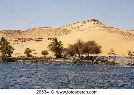 Acacias And Palm Trees By The Nile River In The First Cataract Islands Protected Area Saluga And Ghazal, Aswan, Egypt View Large Photo Image Stock Photo - Acacias And Palm Trees By The Nile River In The First Cataract Islands Protected Area Saluga And Ghazal, Aswan, Egypt. Fotosearch