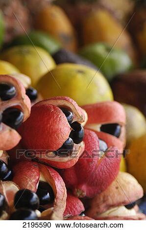 Stock Image - Ackees And Other Fruits For Sale On Stall, Negril, Jamaica.. Fotosearch