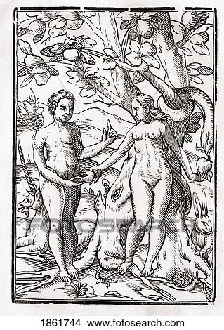 Picture - Adam And Eve In The Garden Of Eden From Der Todten Tanz Or The Dance Of Death Published Basel 1843. Fotosearch