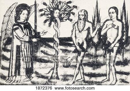 Stock Photograph - Adam And Eve In The Garden Of Eden. From The Book Biblia Medieval Romanceada Published 1925.. Fotosearch