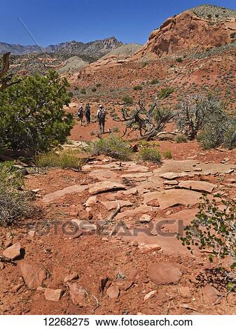 Adventurers exploring a desert slot canyon; Hanksville, Utah, United States of America View Large Photo Image Stock Photography - Adventurers exploring a desert slot canyon; Hanksville, Utah, United States of America. Fotosearch