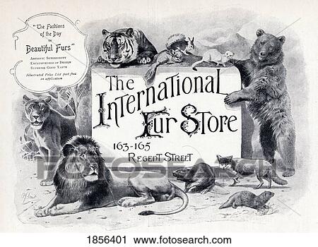 Advertisement For The International Fur Store From The Connoisseur A Magazine For Collectors Printed November 1902 View Large Photo Image Stock Image - Advertisement For The International Fur Store From The Connoisseur A Magazine For Collectors Printed November 1902. Fotosearch