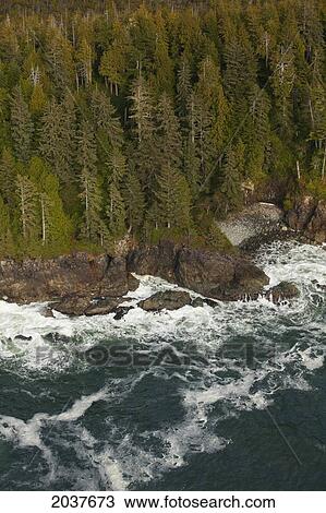 Aerial Photographs Of Clayoquot Sound Near Tofino; British Columbia Canada View Large Photo Image Stock Image - Aerial Photographs Of Clayoquot Sound Near Tofino; British Columbia Canada. Fotosearch