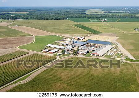 Stock Photograph - Aerial view of a farm; Ridgley, Maryland, United States of America. Fotosearch