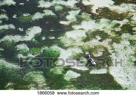 Aerial View Of Carrageenan Seaweed On The Bukit Peninsula Of Bali; Bali, Indonesia View Large Photo Image Stock Photo - Aerial View Of Carrageenan Seaweed On The Bukit Peninsula Of Bali; Bali, Indonesia. Fotosearch