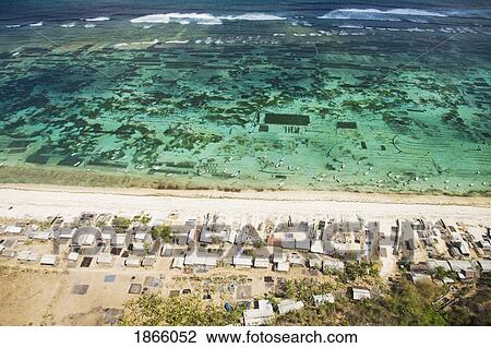 Stock Image - Aerial View Of Carrageenan Seaweed Harvesting Village On The Bukit Peninsula Of Bali; Bali, Indonesia. Fotosearch