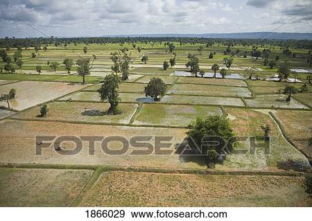 Stock Photo - Aerial View Of Farm Lands In Cambodia; Siem Reap, Cambodia. Fotosearch