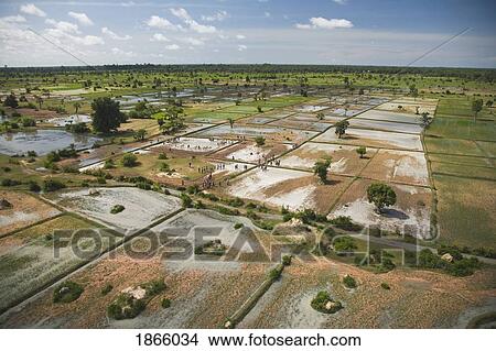 Picture - Aerial View Of Farmers Tending To Crops In Cambodia. Fotosearch