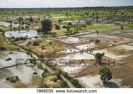 Stock Photography - Aerial View Of Farmers Tending To Crops In Cambodia. Fotosearch