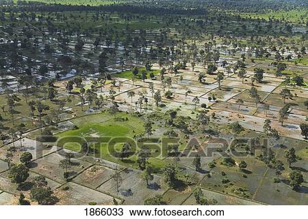 Aerial View Of Farmland, Siem Reap, Cambodia View Large Photo Image Stock Image - Aerial View Of Farmland, Siem Reap, Cambodia. Fotosearch