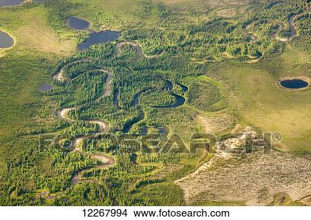 Picture - Aerial view of green tundra and a narrow, winding stream, sand dunes and small lakes, Arctic Alaska, summer. Fotosearch