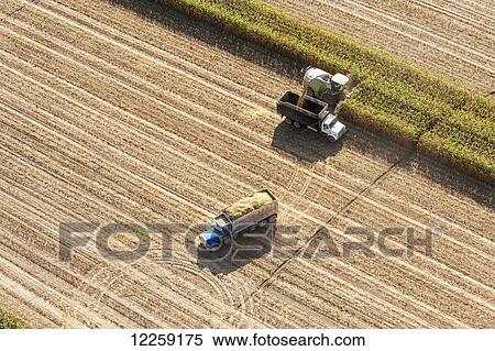 Stock Photography - Aerial view of harvesting corn silage; Ridgley, Maryland, United States of America. Fotosearch