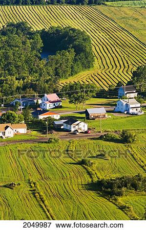 Aerial View Of Houses And Fields At Sunrise, Bas-Saint-Laurent Region, Saint-Pacome, Quebec View Large Photo Image Stock Photo - Aerial View Of Houses And Fields At Sunrise, Bas-Saint-Laurent Region, Saint-Pacome, Quebec. Fotosearch