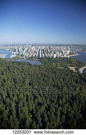 Aerial view of Lost Lagoon, Stanley Park and downtown; Vancouver, British Columbia, Canada View Large Photo Image Stock Photo - Aerial view of Lost Lagoon, Stanley Park and downtown; Vancouver, British Columbia, Canada. Fotosearch