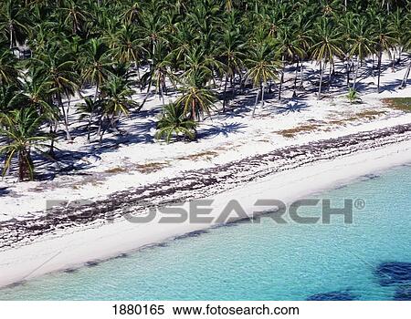Aerial View Of Tropical Beach View Large Photo Image Stock Photography - Aerial View Of Tropical Beach. Fotosearch