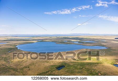 Aerial view of tundra and lakes, Baldwin Peninsula, Baird Mountains visible in the background, Arctic Alaska, summer View Large Photo Image Stock Photography - Aerial view of tundra and lakes, Baldwin Peninsula, Baird Mountains visible in the background, Arctic Alaska, summer. Fotosearch