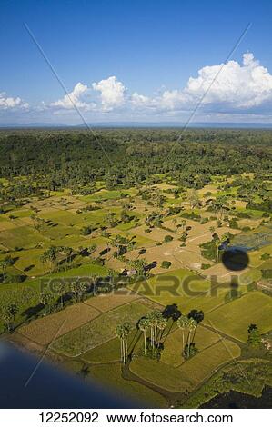 Stock Image - Aerial views over the Cambodian ruins of Angkor Wat; Siem Reap, Cambodia. Fotosearch