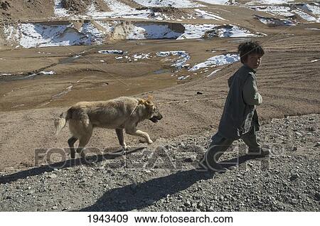 Afghan Boy And His Dog In The Shahidan Valley, Bamian Province, Afghanistan View Large Photo Image Stock Photo - Afghan Boy And His Dog In The Shahidan Valley, Bamian Province, Afghanistan. Fotosearch