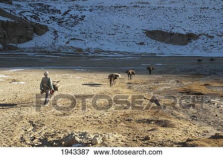 Stock Photo - Afghan Farmers And Their Donkeys Leaving A Gristmill By Band-I-Haibat (Dam Of Awe), Band-I-Amir, Bamian Province, Afghanistan. Fotosearch