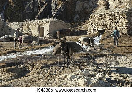 Stock Photography - Afghan Farmers And Their Donkeys Leaving A Gristmill By Band-I-Haibat (Dam Of Awe), Band-I-Amir, Bamian Province, Afghanistan. Fotosearch