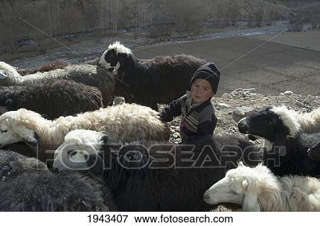 Afghan Shepherd Boy Near Pai Mori, Bamian Province, Afghanistan View Large Photo Image Stock Photo - Afghan Shepherd Boy Near Pai Mori, Bamian Province, Afghanistan. Fotosearch