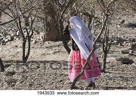 Stock Image - Afghan Woman In A Field In Baghe Afghan, Parwan Province, Afghanistan. Fotosearch