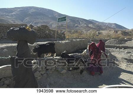 Afghan Women And Goats In The Siagerd Valley, Parwan Province, Afghanistan View Large Photo Image Stock Photo - Afghan Women And Goats In The Siagerd Valley, Parwan Province, Afghanistan. Fotosearch