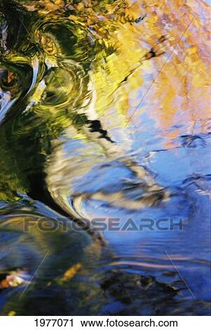 Africa, Massachusetts, Seekonk, Caratunk Wildlife Refuge, Colorful Reflections On Water. View Large Photo Image Stock Image - Africa, Massachusetts, Seekonk, Caratunk Wildlife Refuge, Colorful Reflections On Water.. Fotosearch