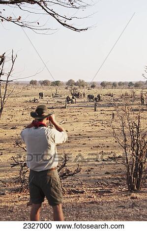Stock Image - Africa, Zimbabwe, Hwange National Park, On Safari, Man Viewing Elephants At Watering Hole. Fotosearch