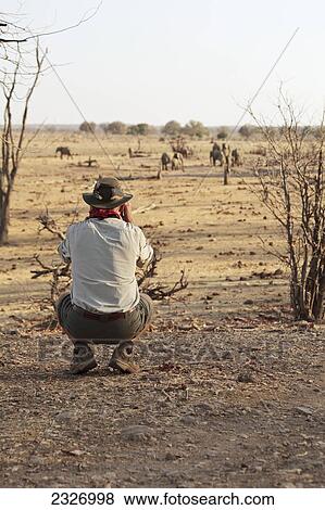 Africa, Zimbabwe, Hwange National Park, On Safari, Man Viewing Elephants At Watering Hole View Large Photo Image Stock Photo - Africa, Zimbabwe, Hwange National Park, On Safari, Man Viewing Elephants At Watering Hole. Fotosearch