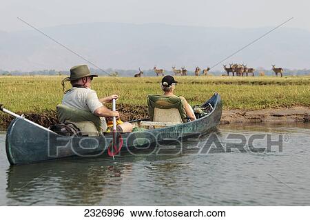 Africa, Zimbabwe, Mana Pools National Park, On Safari, Couple Canoeing On The Zambezi River, Impala In Background View Large Photo Image Stock Photograph - Africa, Zimbabwe, Mana Pools National Park, On Safari, Couple Canoeing On The Zambezi River, Impala In Background. Fotosearch