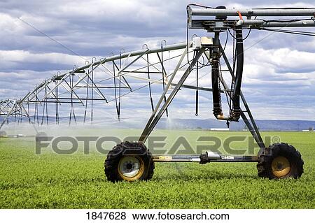 Agricultural Irrigation System; Moses Lake, Washington State, Usa View Large Photo Image Stock Photo - Agricultural Irrigation System; Moses Lake, Washington State, Usa. Fotosearch