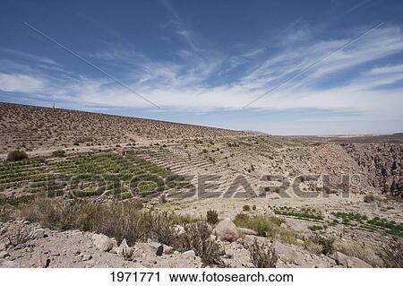Stock Image - Agricultural Terraces, Toconce, Antofagasta Region, Chile. Fotosearch