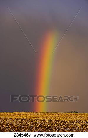 Stock Photo - Agriculture - A brilliant rainbow forms over a farm field after a violent Spring storm. The previous year's corn stubble is still present in the field / Central Iowa, USA.. Fotosearch