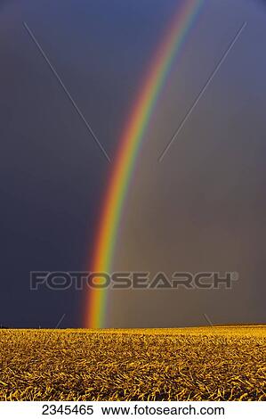 Agriculture - A brilliant rainbow forms over a farm field after a violent Spring storm. The previous year's corn stubble is still present in the field / Central Iowa, USA. View Large Photo Image Stock Photography - Agriculture - A brilliant rainbow forms over a farm field after a violent Spring storm. The previous year's corn stubble is still present in the field / Central Iowa, USA.. Fotosearch