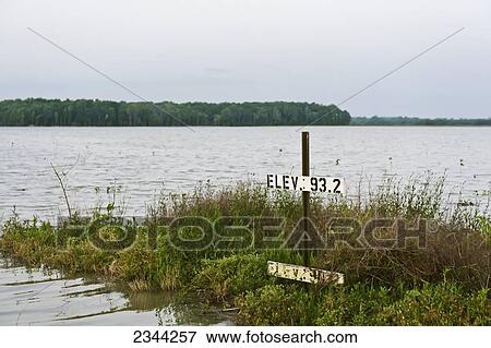 Stock Photo - Agriculture - A soybean field completely inundated by flood waters during the Mississippi River flood of 2011 / near Valley Park, Mississippi, USA.. Fotosearch
