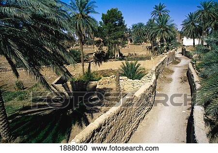 Stock Image - Agriculture District In Old Town, Ghadames. Fotosearch